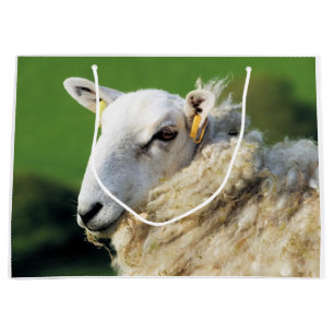 GRAND SAC CADEAU SHEEP