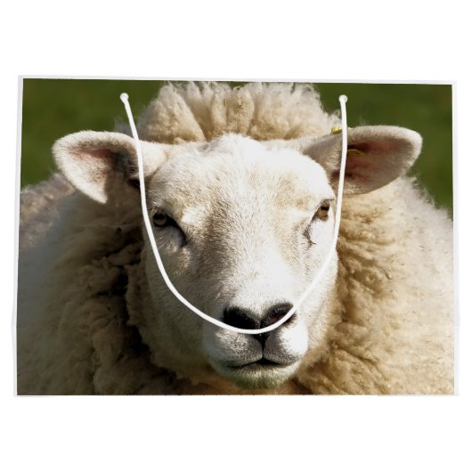 GRAND SAC CADEAU SHEEP (Dos)