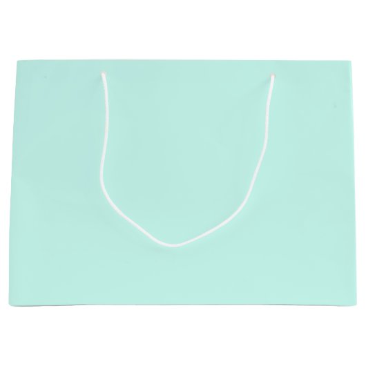 Grand Sac Cadeau Solid cameo green mint soft turquoise (Devant)