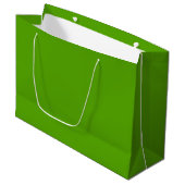 Grand Sac Cadeau Solide Jolly Green (Devant Angle)