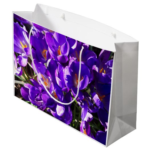 GRAND SAC CADEAU SPRING CROCUS (Dos Angle)