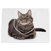 Grand Sac Cadeau Tabby Gris (Devant)