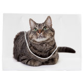 Grand Sac Cadeau Tabby Gris (Dos)