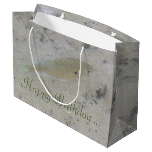 Grand Sac Cadeau Thème extérieur (Dos Angle)