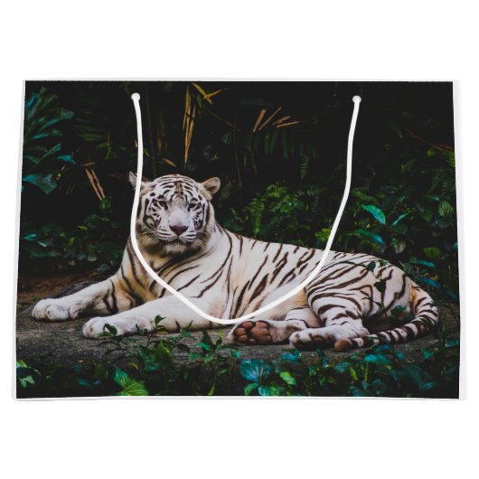 Grand Sac Cadeau Tigre (Devant)