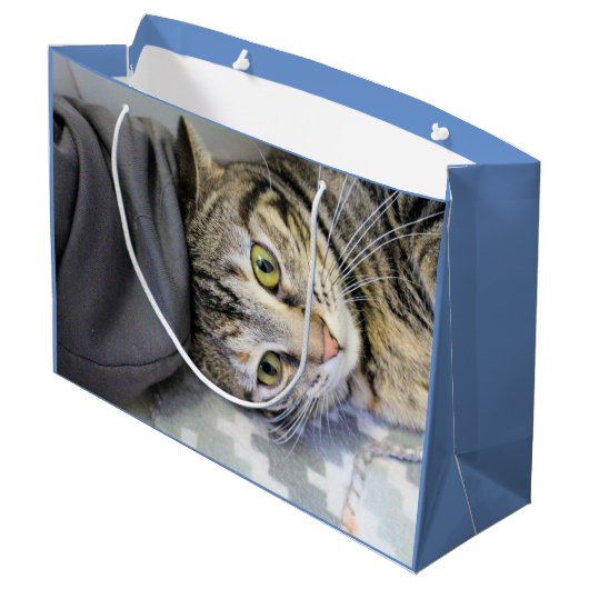 Grand Sac Cadeau Tigre (Dos Angle)