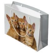 Grand Sac Cadeau Trois chatons mignons de gingembre côte à côte (Dos Angle)