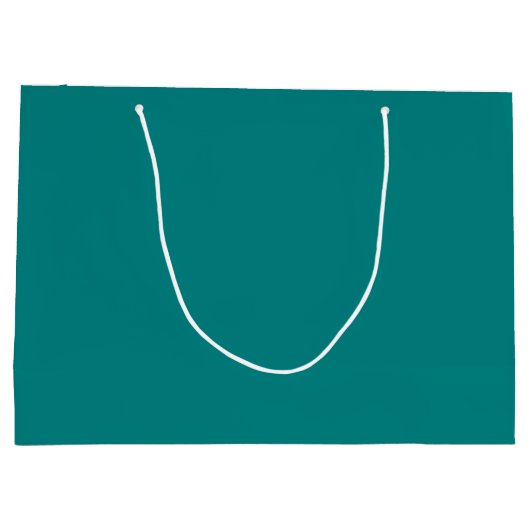 Grand Sac Cadeau Turquoise (Dos)