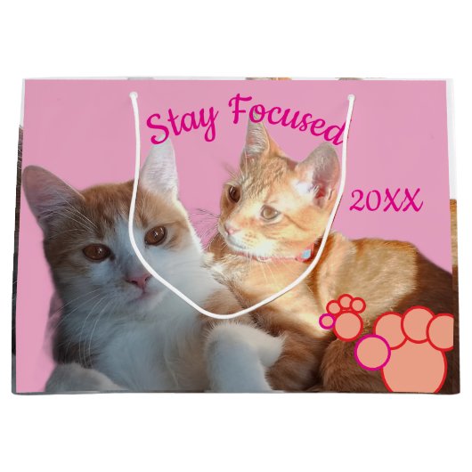 Grand Sac Cadeau Valentine's Cats Photo (Devant)