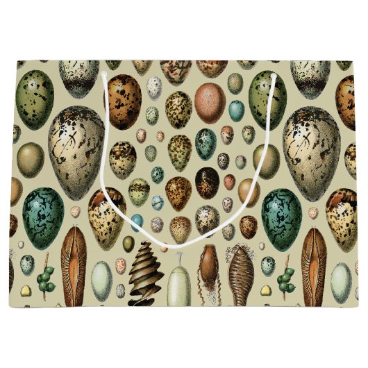 Grand Sac Cadeau Various kinds of Egg Scientific Illustration (Devant)