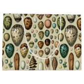 Grand Sac Cadeau Various kinds of Egg Scientific Illustration (Dos)