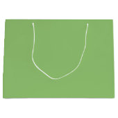 Grand Sac Cadeau Véritable Pistachio Vert (Devant)