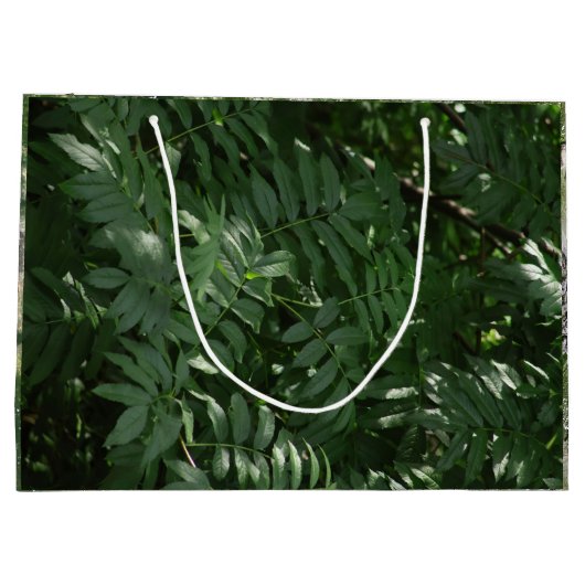 Grand Sac Cadeau Vert dans Yellowstone (Dos)