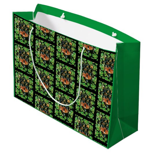 GRAND SAC CADEAU YORKIE POO (Dos Angle)