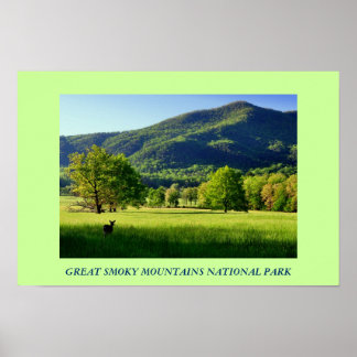 Grand Smoky Mountains National Park Photo Poster