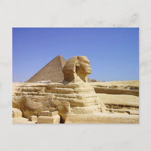 Grand Sphinx de Giza carte postale (Devant)