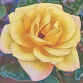 Grand Sticker à fleurs de rose jaune (Devant)