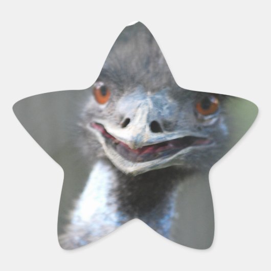 Grand Stickers Emu (Devant)