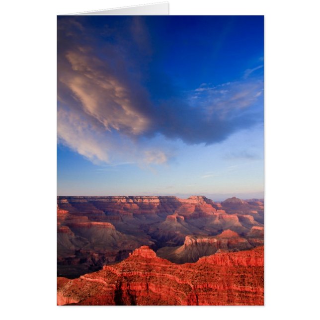 Grand Sunset (Devant)