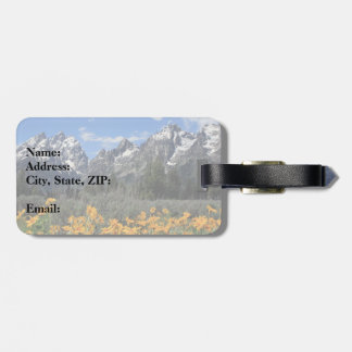 Grand Teton Lente Souvenir Foto Bagagelabel