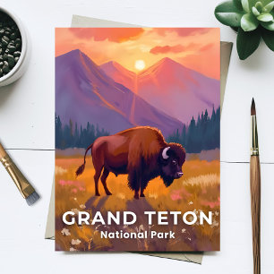 Grand Teton National Park   Bizon Wyoming Reizen Briefkaart