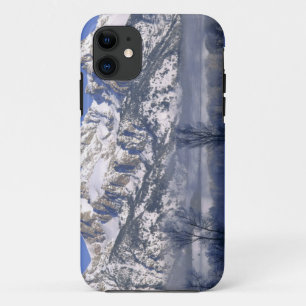 GRAND TETON NATIONAL PARK, WYOMING. VS. Mist & iPhone 11 Hoesje