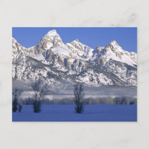 GRAND TETON NATIONAL PARK, WYOMING. VS. Nevel & Briefkaart