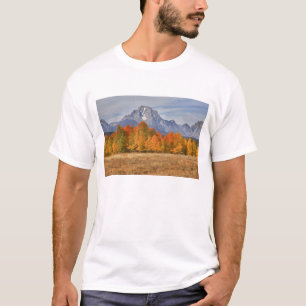Grand Teton NP, Mount Moran en espardelboom T-shirt