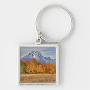Grand Teton NP, Mount Moran en espelbomen Sleutelhanger
