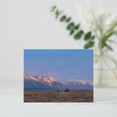 Grand Teton Open Lands Briefkaart (Staand voorkant)