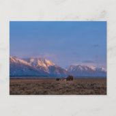 Grand Teton Open Lands Briefkaart (Voorkant)