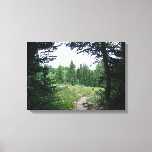 Grand Teton Trail Canvas Afdruk (Voorkant)