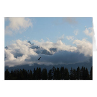 Grand Tetons en hawk