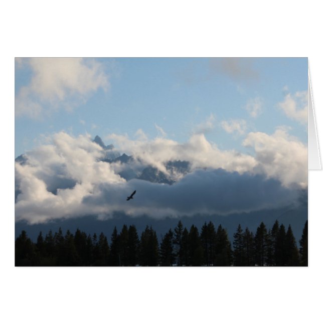 Grand Tetons en hawk (Voorkant Horizontaal)