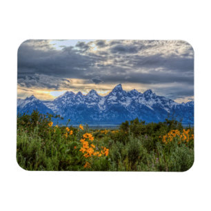 Grand Tetons Magneet