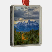 Grand Tetons Metalen Ornament (Rechts)