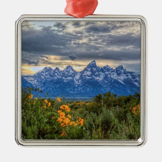 Grand Tetons Metalen Ornament (Voorkant)