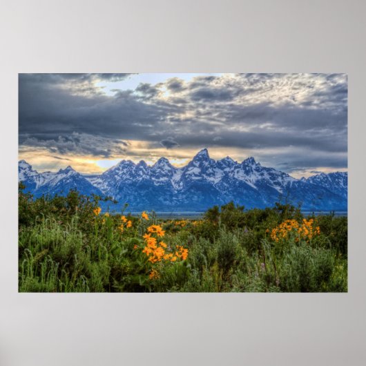 Grand Tetons Poster (Voorkant)