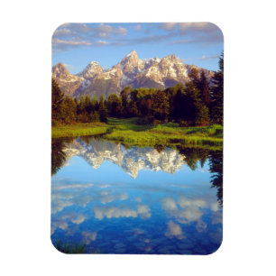 Grand Tetons weerspiegelend in de Snake River Magneet