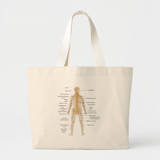 Grand Tote Bag Diagramme du système nerveux du corps humain (Devant)