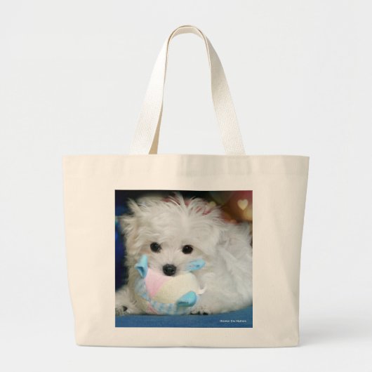 Grand Tote Bag Hermes le maltais (Devant)