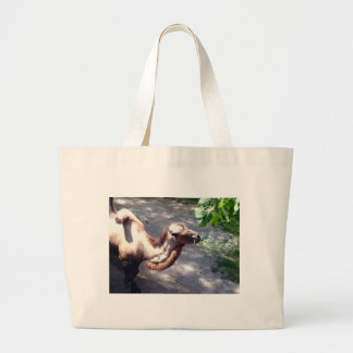 Grand Tote Bag Le temps du chameau ! Zoo Animaux