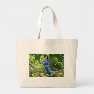 Grand Tote Bag Nature Photographie Shy Blue Jay Vêtements Cadeaux