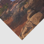 Grand Uitzicht Point in het Nationaal Park Canyonl Tissuepapier (Detail)