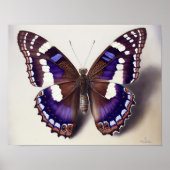 Grand violet Empereur Papillon Art Imprimer Poster (Devant)