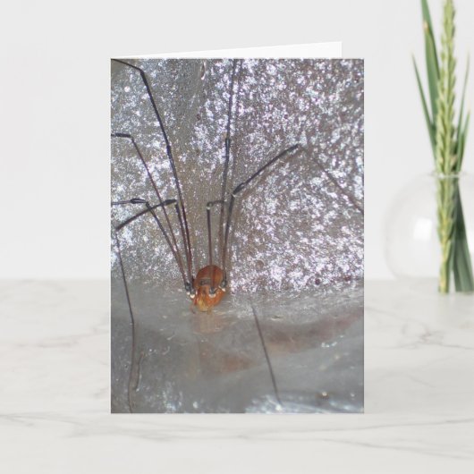 Grandaddy Longlegs Kaart (Voorkant)