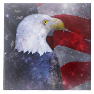 Grande (6" X 6") Carreaux photo en céramique