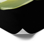 Grande affiche blanche de fleurs de lotus (Coin)