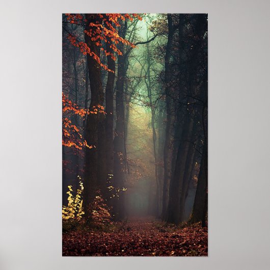 Grande affiche de la nature (Devant)