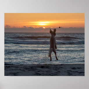 Grande" affiche "vivante de coucher du soleil de